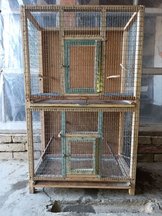 Кафас тути кушларга