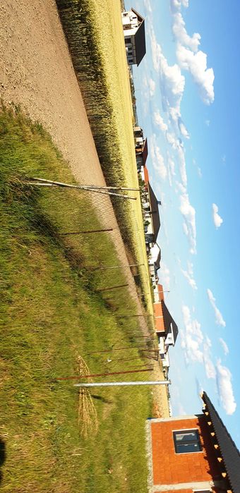 loc de casa 500 mp in LIVADA DE BIHOR cu PUD SI PUZ curent si apa termala la 100 metri