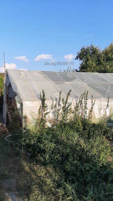 Продава се Къща в с. Дряновец, Област Разград - 92 кв.м за 322 €/кв.м - Снимка #11