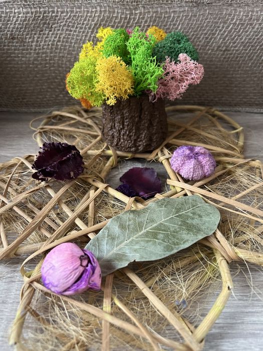 Кашпи със скандинавски мъх 8,50лв.