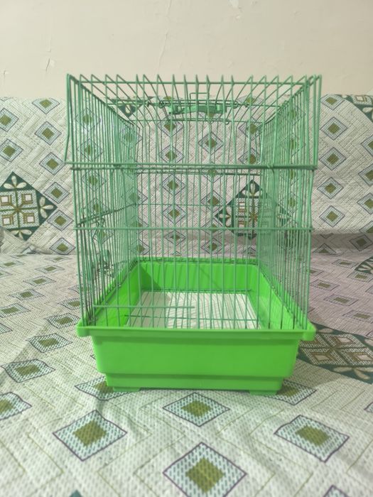 Зелёная птичья клетка