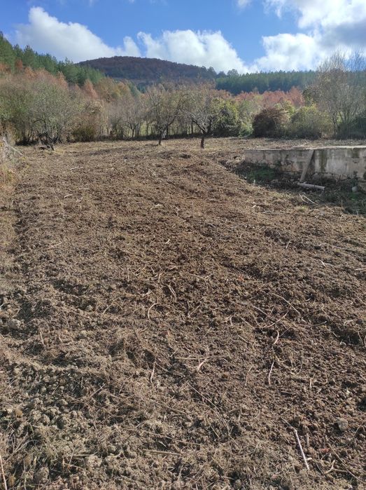 Косене на дворове,ливади , градинки,и фотоволтаични централи
