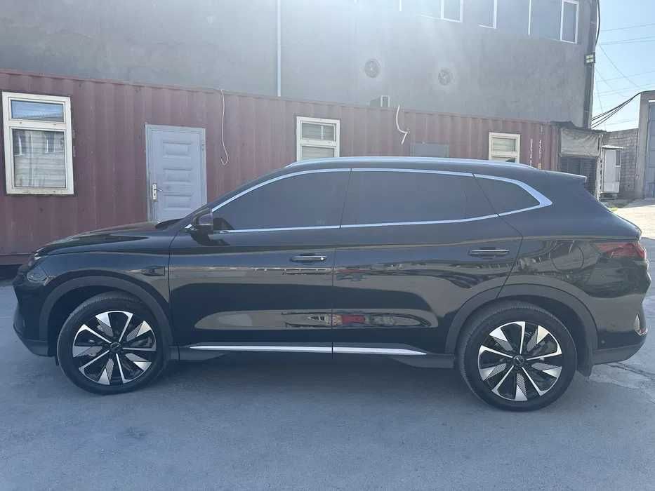 BYD Champion | rent a car | rentcar | ренткар | аренда автомобиля