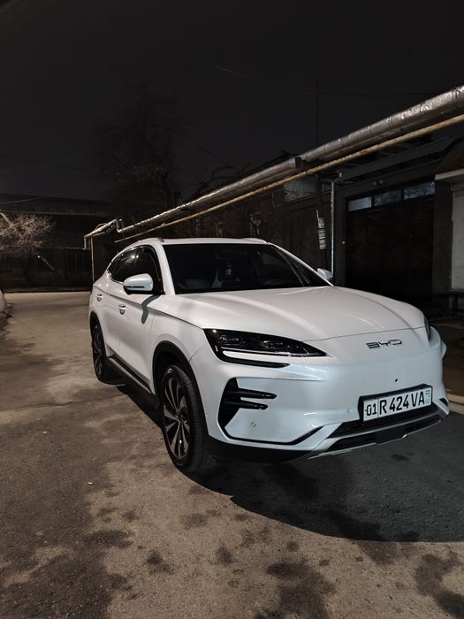 BYD. Чинпийон. 605.  Тали. Токда.