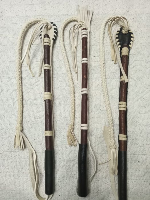 Камшы камчы қамшы