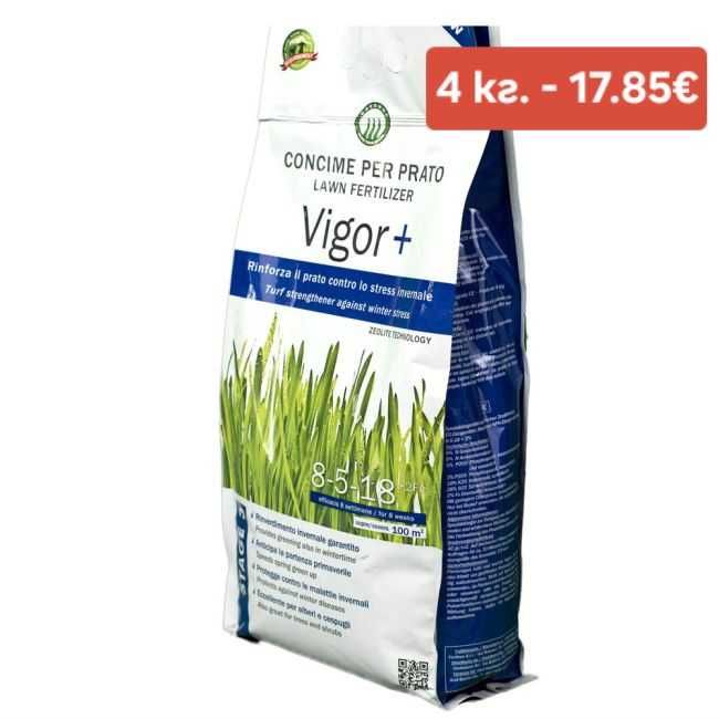 Тревни смески и торове за тях – за перфектна морава!