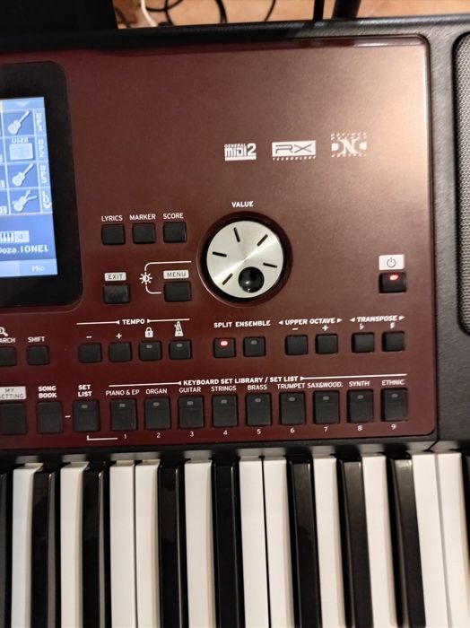 Korg PA 700 folosit doar în casă!