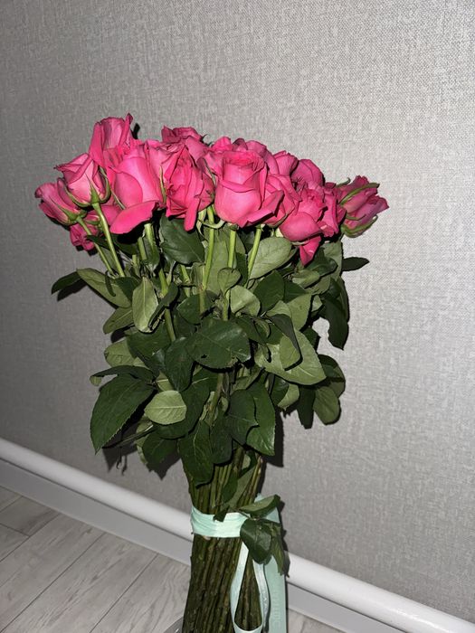 продам цветы б/у