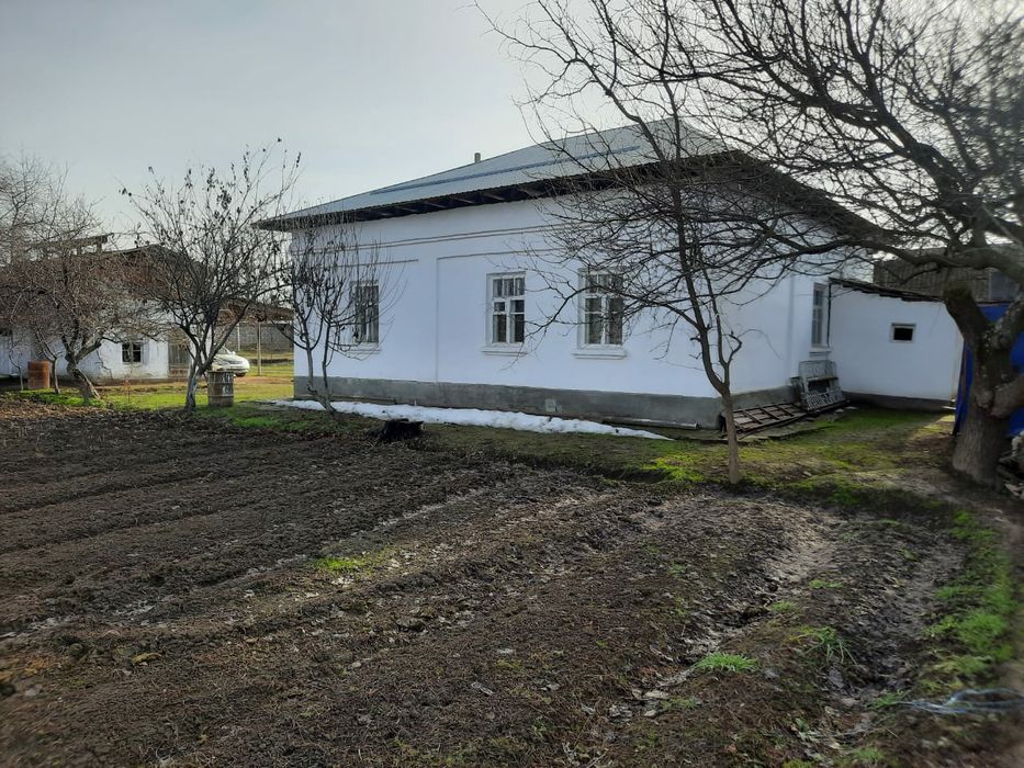 Ховлии уй сотилади