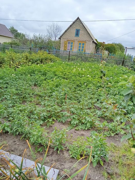 Продам дачу 6,5 соток