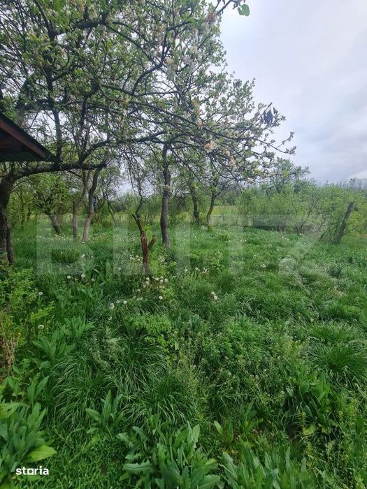 Casa individuala si 5.500 mp de teren intravilan, loc. Sanpaul, Cluj
