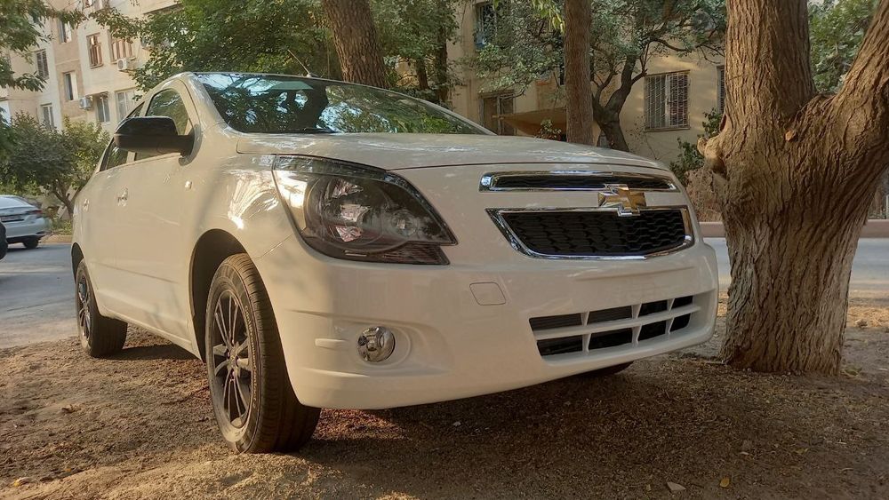 Cobalt midnight 2025