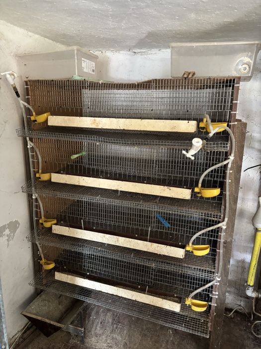 Клетки за отглеждане на пътпъдъци