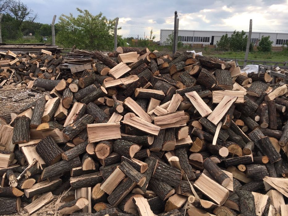 Дърва за огрев от 70€ реален кубик