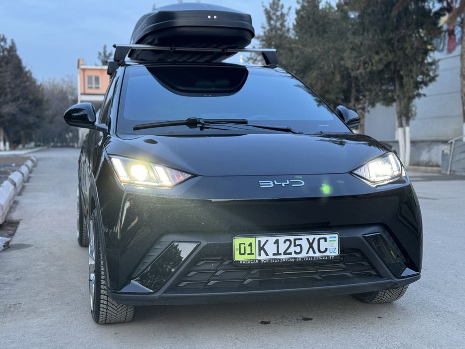 BYd seugell 2024 года