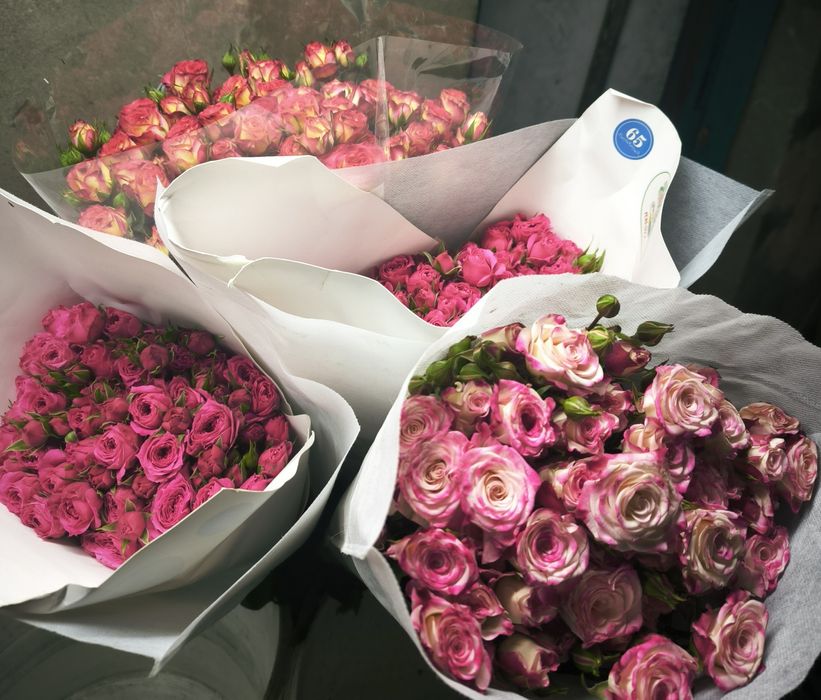 Продам Розы.На 8марта