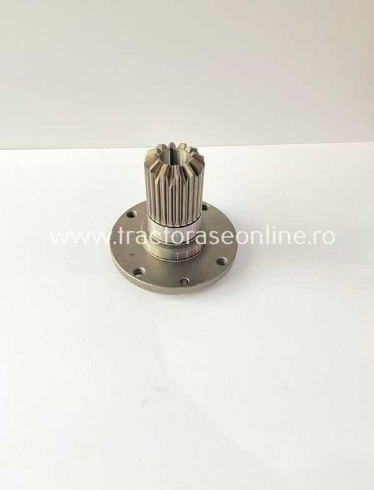 Planetara pentru Goldoni