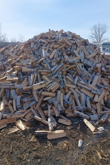 Продам дрова колотые