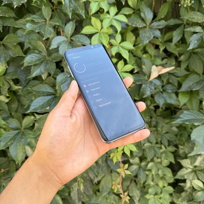 Samsung Galaxy S8+