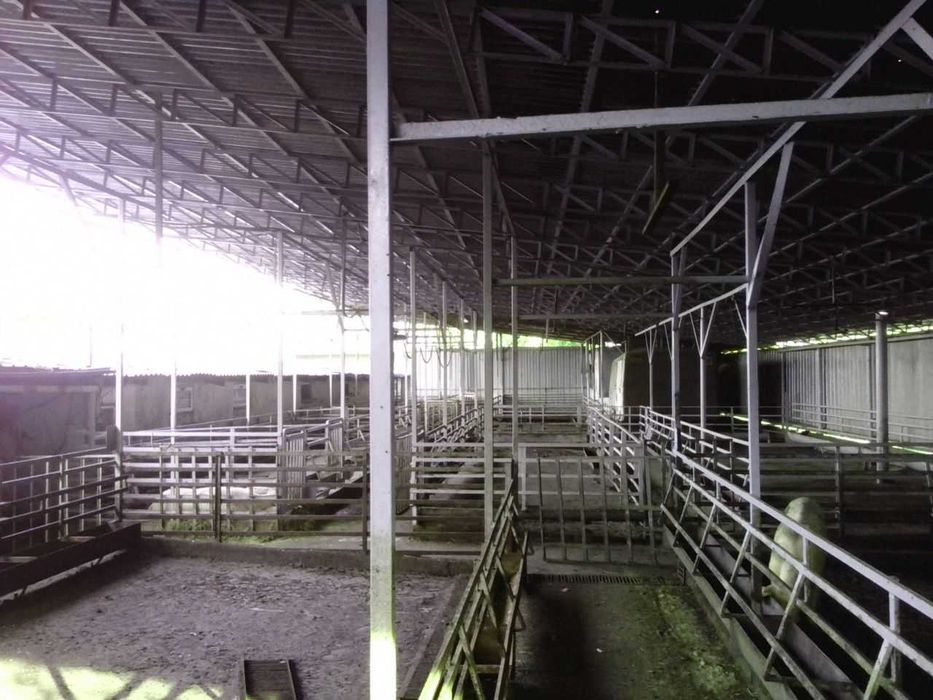 Продам действующий бизнес.