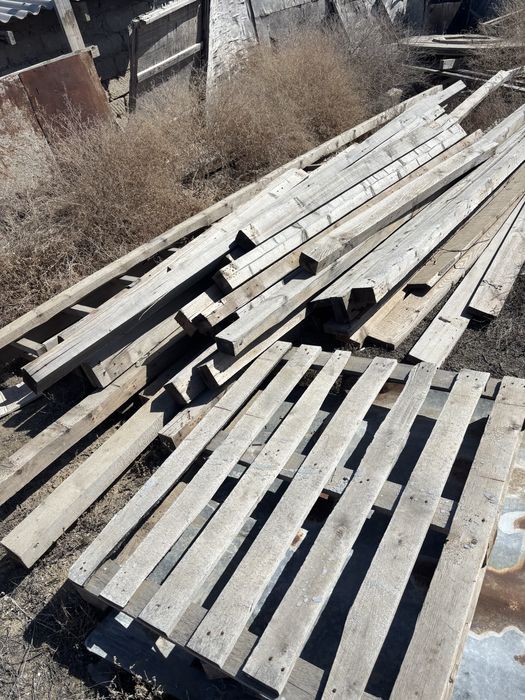 Агаштар пайдага асатын