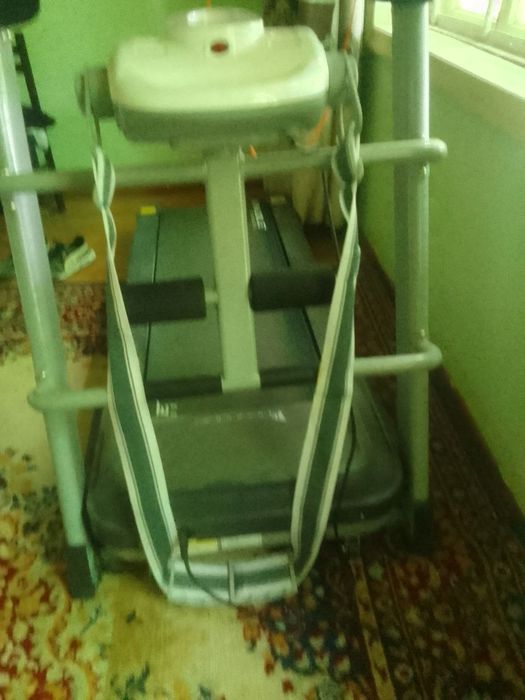 Бегавой дарошка холати зор