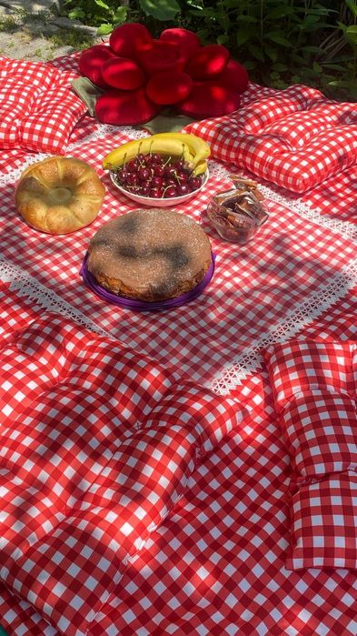 Piknik nabor va dasturxoni