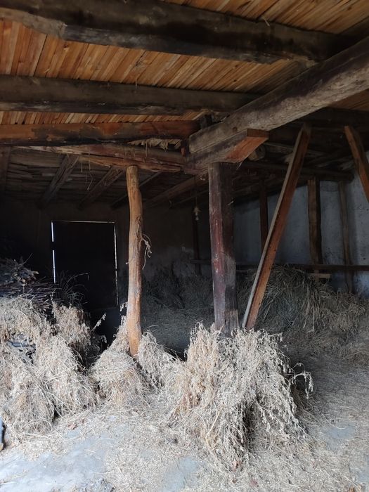 7 sotixlik xovli sotiladi