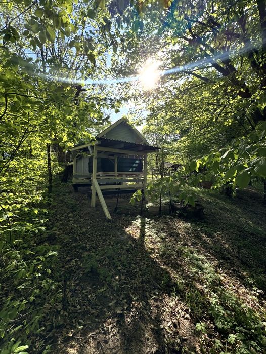 Cabana/Casuta din lemn Lac mujdeni cu ponton privat pe lac