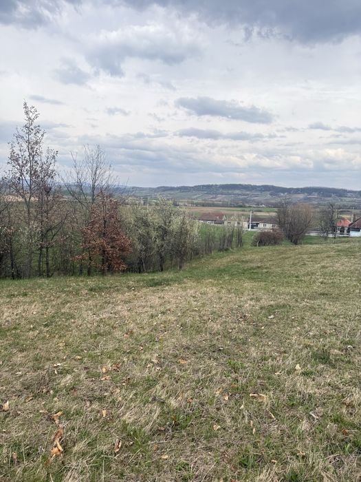 Teren intravilan de vanzare Bihor - 4793 mp2