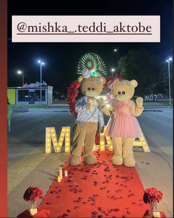 Мишка Тедди порокат
