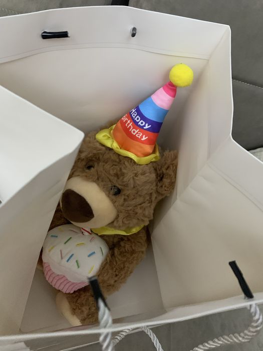 Teddy ayiq qo’shiq aytadi va gapingizni qaytaradi