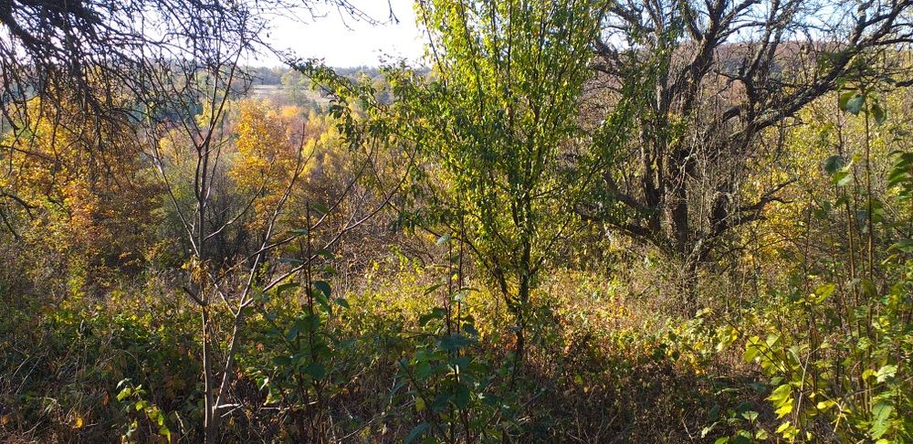 Продава се Парцел в с. Мечковци, Област София-област - 1248 кв.м за 6 €/кв.м - Снимка #3