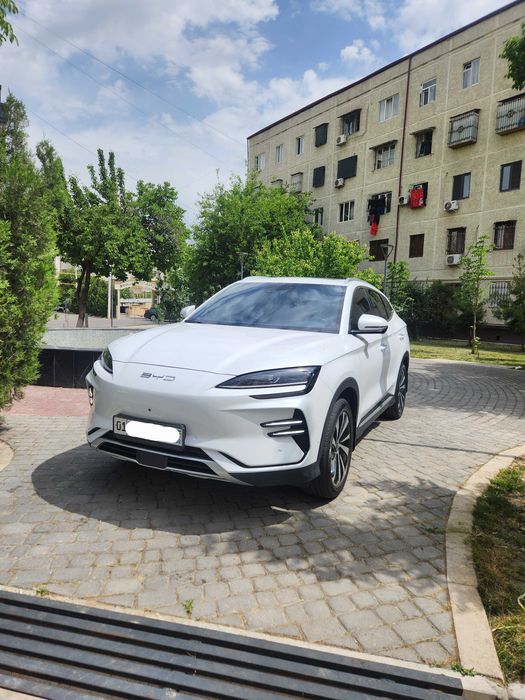BYD Chempion EV, 2024 йил