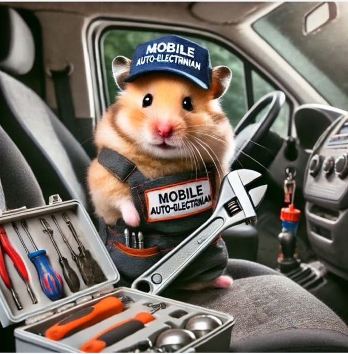 Автоэлектрик на выезд ремонт генератора и стартера