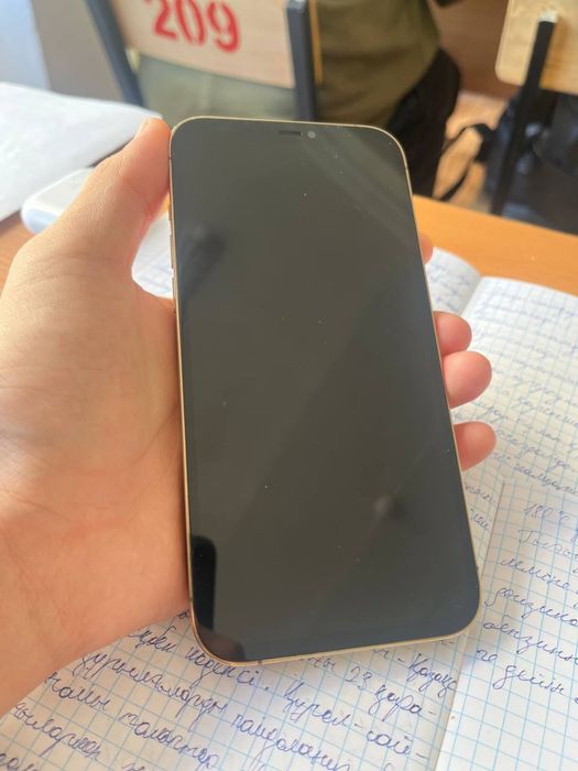 Айфон 12 Про Макс