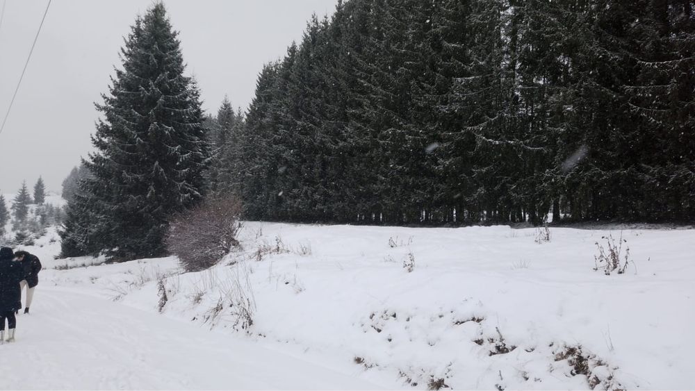 Vand parcele de 1375 si 1415 mp  la Belis aproape de lac