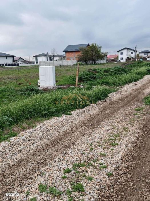 Loturi Teren De Vanzare Intravilane Berceeni Vidra -Ilfov
