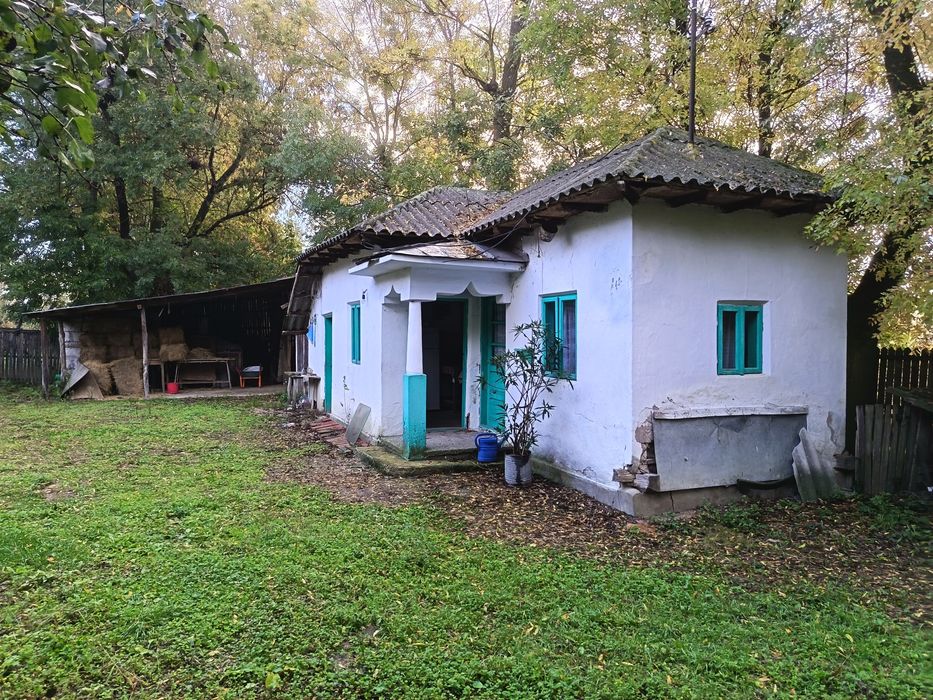 Casa și gradina de vanzare