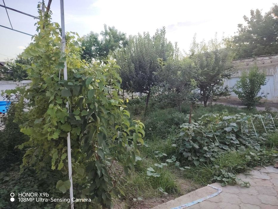 Namunali 5 xonadan iborat 6 sotixli kottej srochno sotiladi