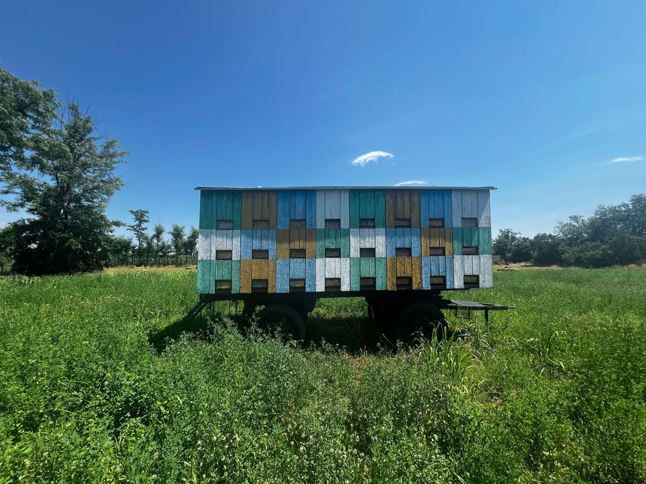 Vând Pavilion Apicol Funcțional – 48 Stupi × 18 Rame – Fără Albine