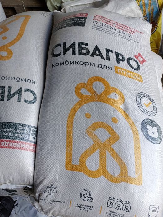 Корма для собак Костанай