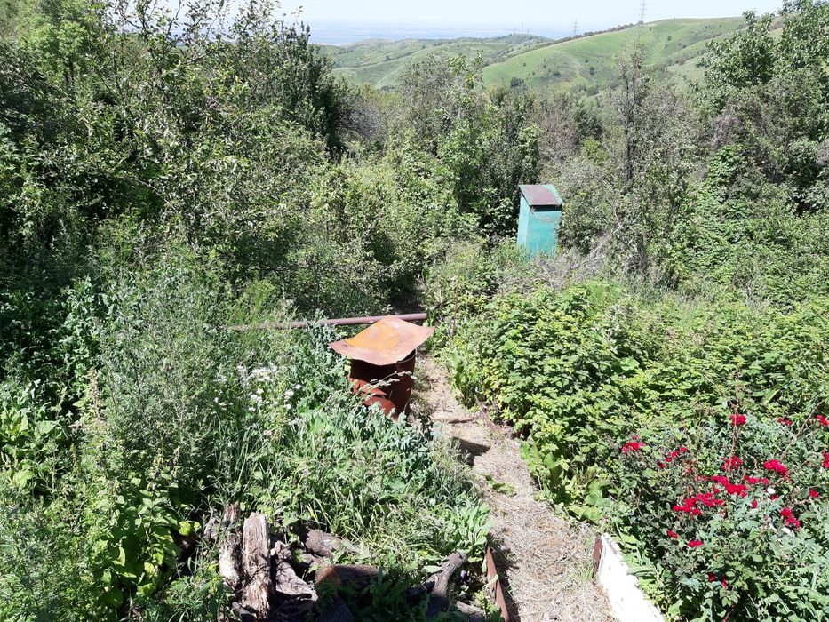 Продам Срочно Дачу в Кенсаи