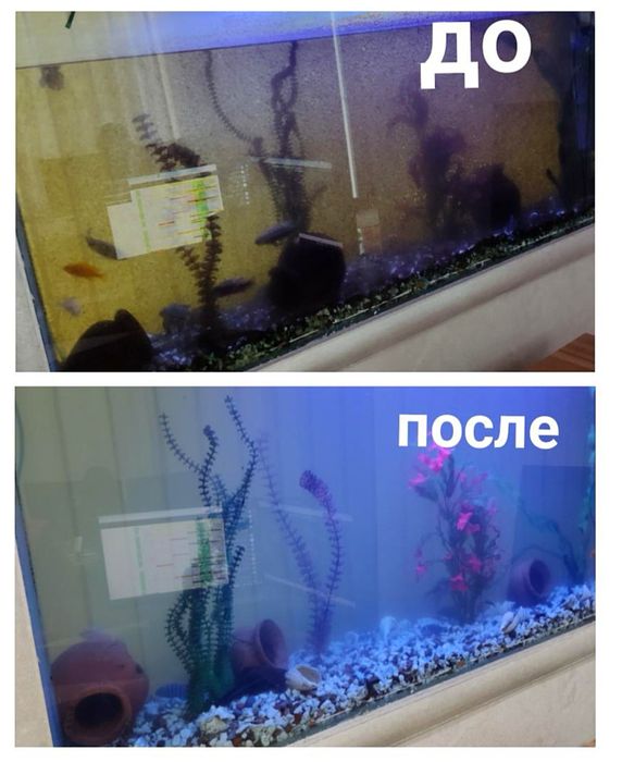 Чистка аквариума , оформление запуск качественное обслуживание