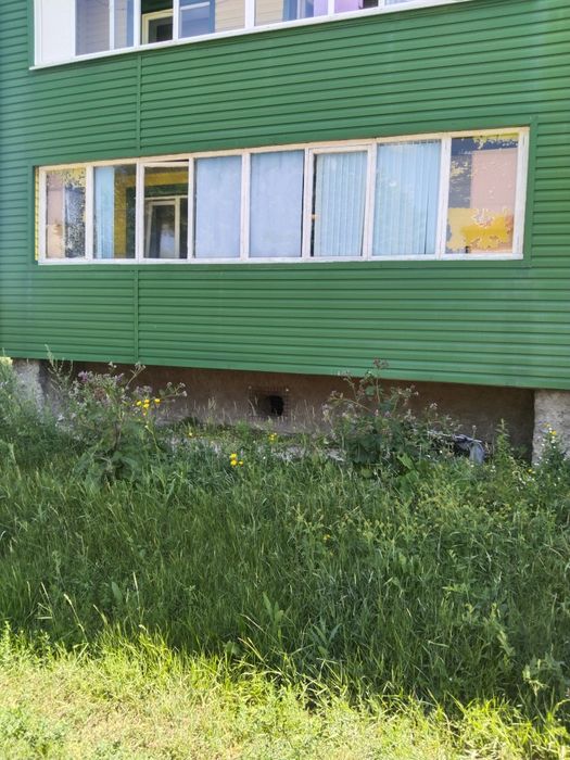 Квартира двух комнатная