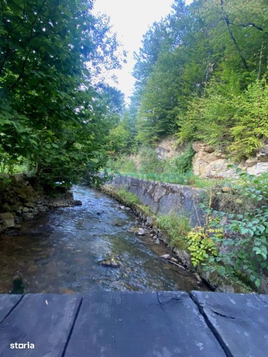 Teren de 1000 mp intravilan, Valea Finisului, Bihor, @Gaminvest, V4232