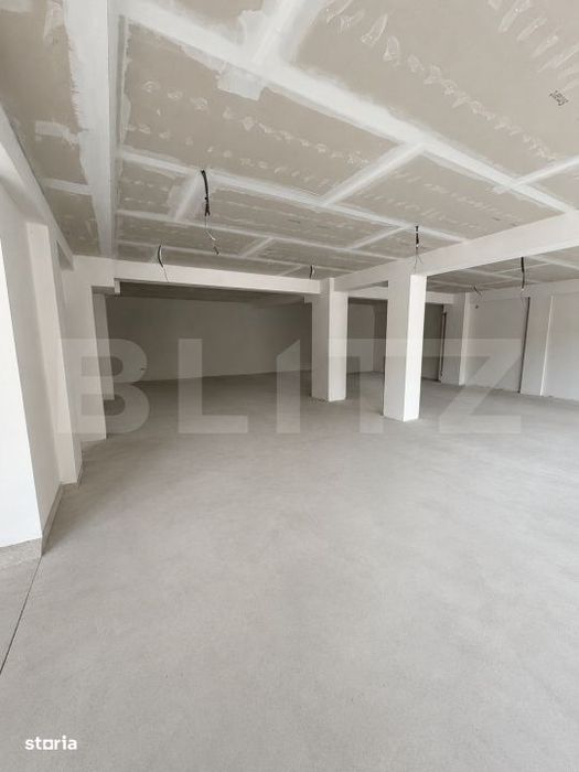 Spatiu Comercial Roka