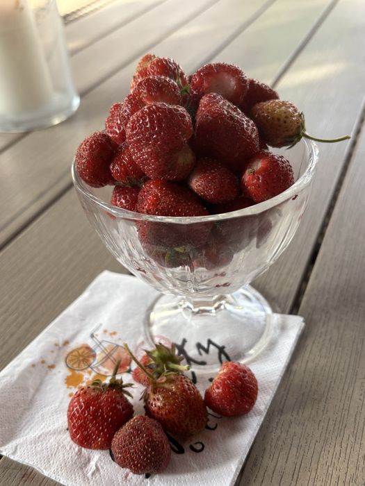 Thermomix Tm6 cu doua boluri,urilizat!