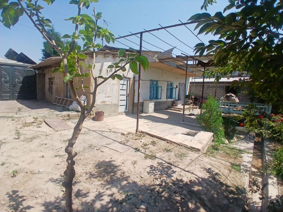 Ховлимиз сотилади ТТЗга 2,5 КМ