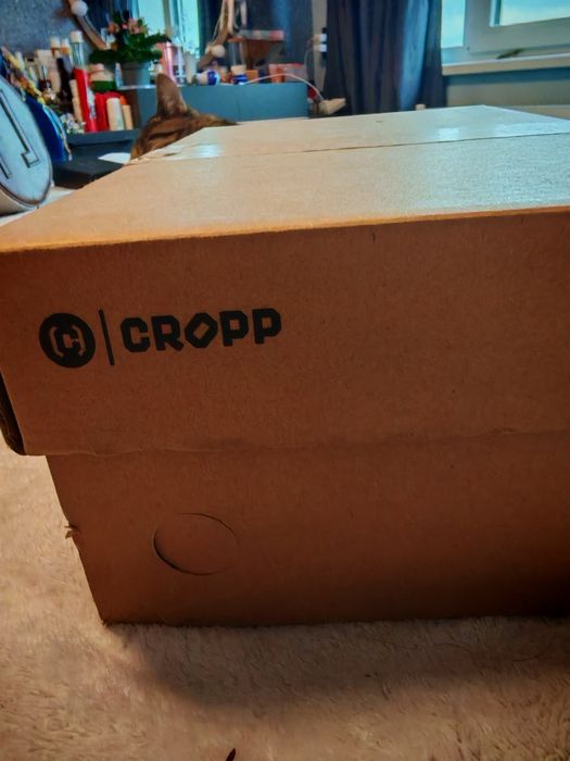 Цветни Кецове cropp 37,5